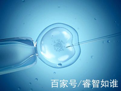 案例